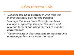 day plan template first days as sales director sample