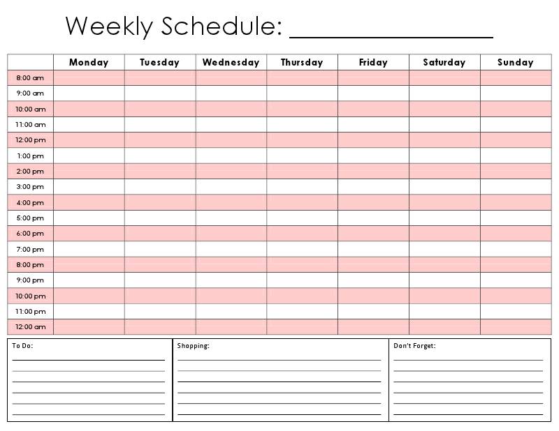 printed 24 hour hourly daily schedule template