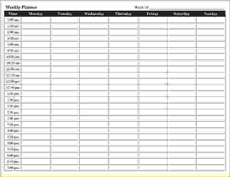 24 hour schedule template