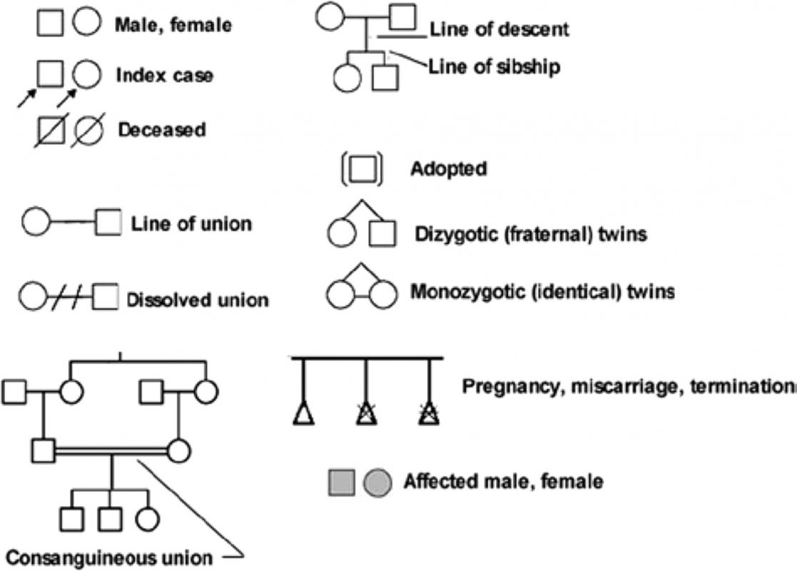  4 Generation Pedigree Chart Template Business