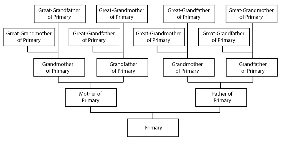 4 Generation Pedigree Chart Template Business