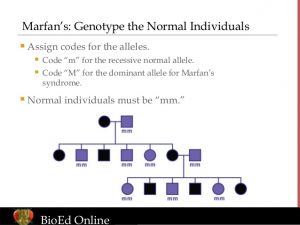 generation pedigree chart pedigree examples