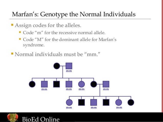 4 generation pedigree chart