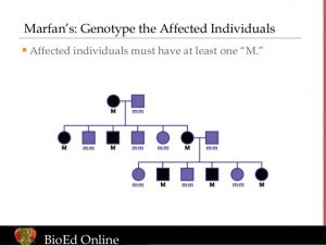 generation pedigree chart pedigree examples