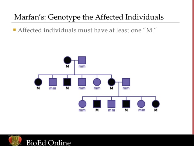 4 generation pedigree chart