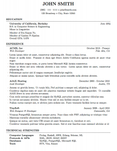 academic curriculum vitae cv