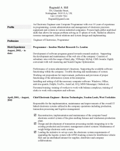 accounting resume template an example of a written cv example curriculum vitae page