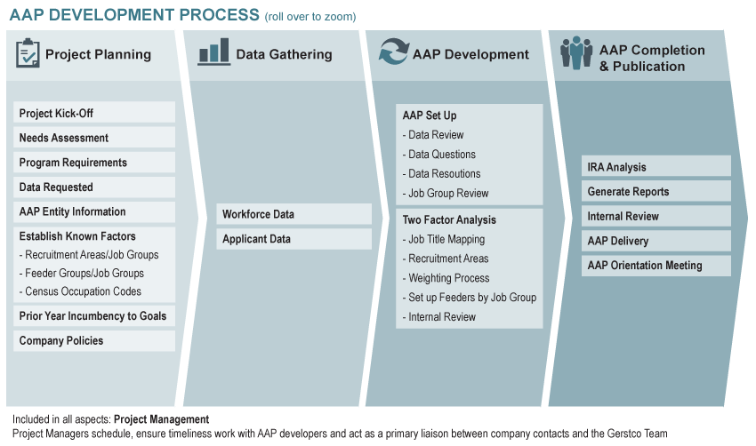 action plan formats