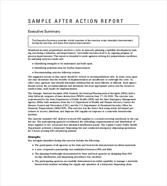 Business Review Report Template