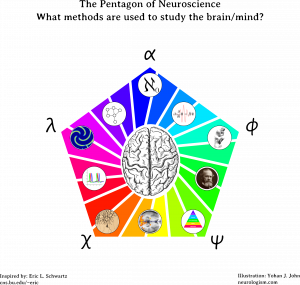 animal alphabet letters neurogreek