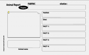 animal report template animal report