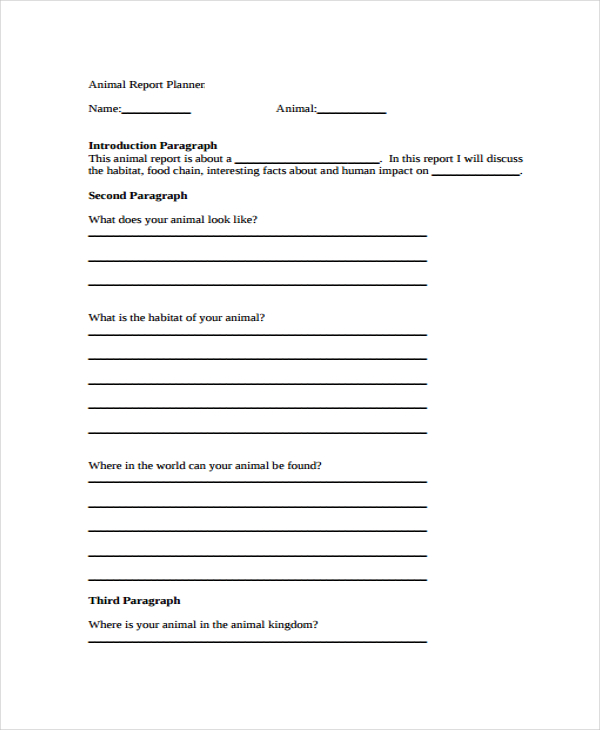 animal report template