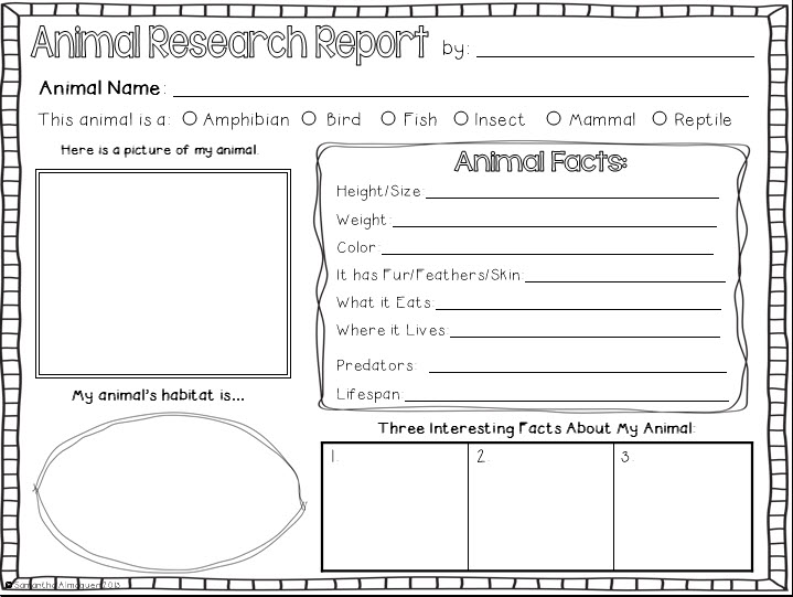 animal report template