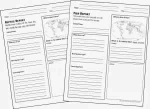 animal report template animalreport way simple