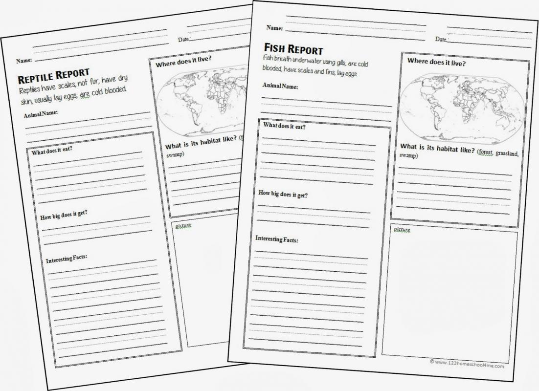 animal report template