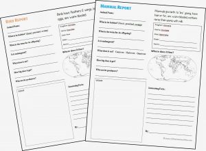 animal report template animalreportsimple example