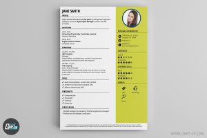 applicant form template cv template snap