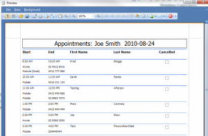 appointment book template drex dailyapptlist custom