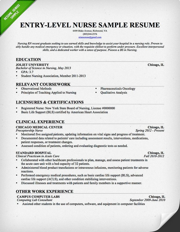 Areas Of Expertise Resume Template Business