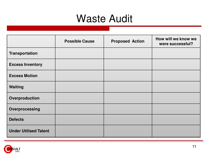 audit report template