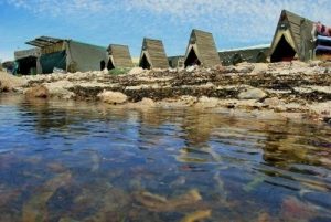 automotive business card w the beach camp tietiesbaai any closer to the water and you will get wet at the beach camp tietiesbaai