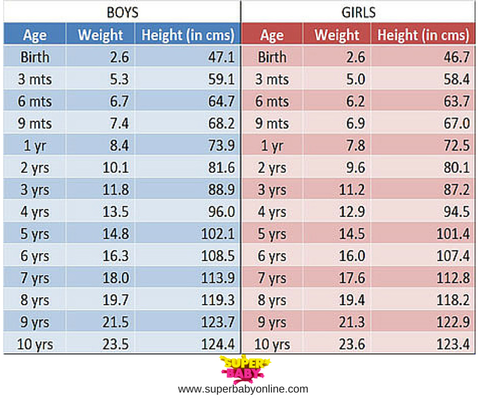 Baby Growth Chart Girl Template Business