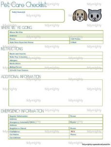 babysitter information sheet il xn