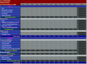 balance sheet example excel monthly balancesheet