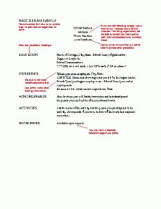 basic resume samples basic resume examples