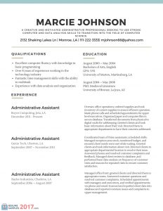 basic resume template word professional resume examples with basic resume template