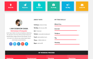 best cv format sobnom personal resume template