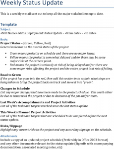 bi weekly budget template weekly status report template