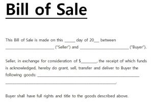 bill of sale word template bill of sale template word