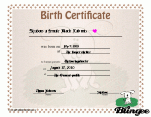 birth certificate maker