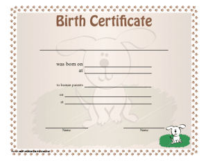 blank birth certificate birth certificate blank