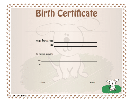 blank birth certificate