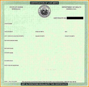 blank birth certificate blank birth certificate hawaiian birth certificate blank