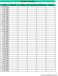 blank check templates for excel schedule weekday x