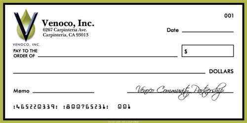 blank checks pdf