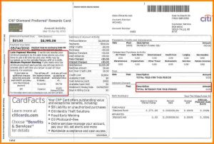 blank financial statement citi bank credit card statement citi cc statement