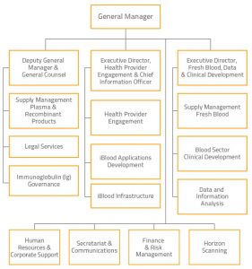 blank flow chart template for word organisational chart section