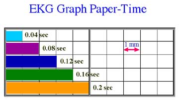 blank graph chart