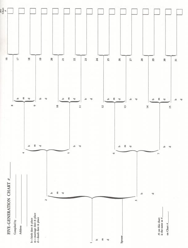 blank pedigree chart