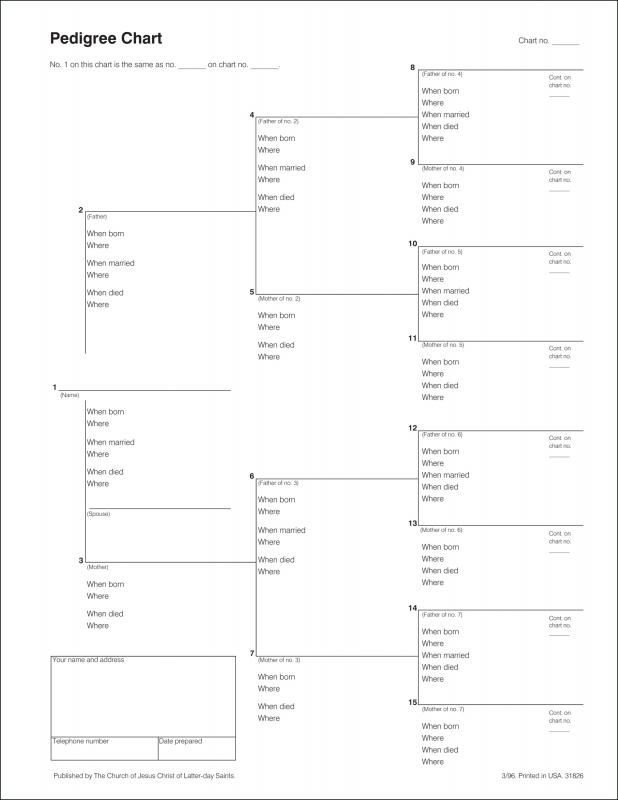 free printable blank dog pedigree forms