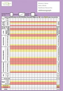 blood pressure record charts i mews pic feb