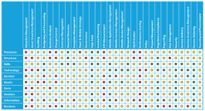 business action plan effocusarearatings