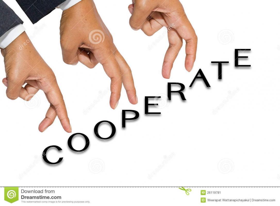 business partnership contract