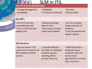 business plan mission statement service level management