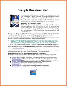 business plan template pdf example of a business plan layout bussines proposal for business plan template pdf