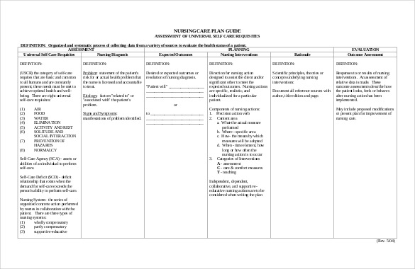 care plan template